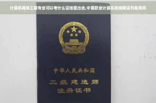 计算机网络工程专业可以考什么证挂靠出去,中国职业计算机资格网证书有用吗