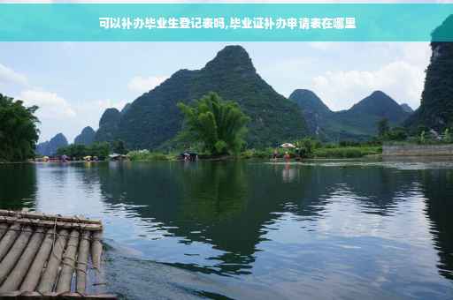 可以补办毕业生登记表吗,毕业证补办申请表在哪里