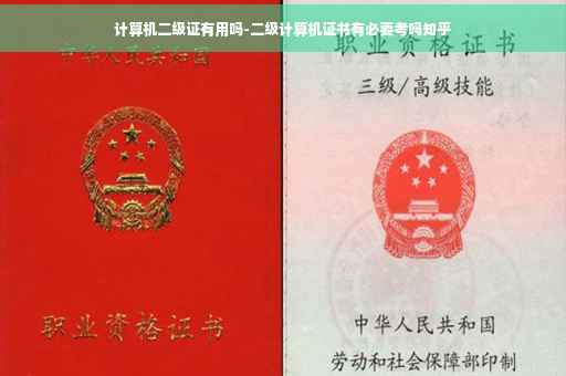 计算机二级证有用吗-二级计算机证书有必要考吗知乎