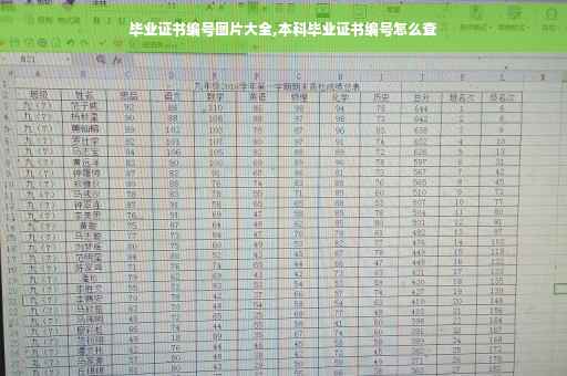 毕业证书编号图片大全,本科毕业证书编号怎么查