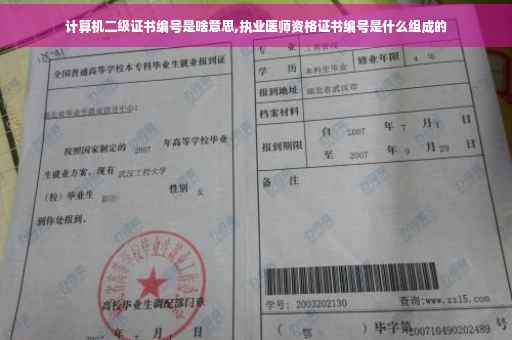 计算机二级证书编号是啥意思,执业医师资格证书编号是什么组成的