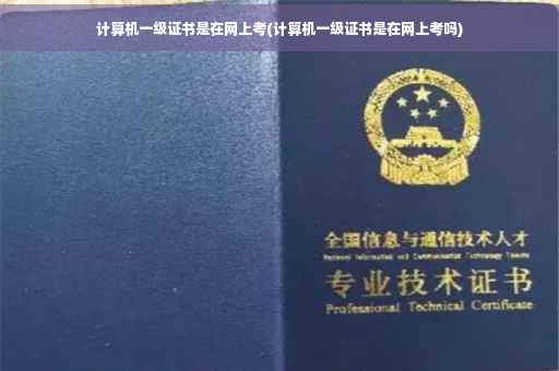 计算机一级证书是在网上考(计算机一级证书是在网上考吗)