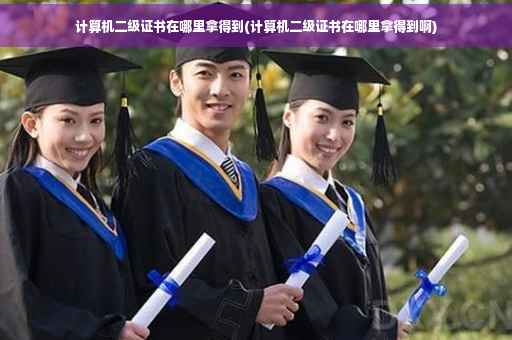 计算机二级证书在哪里拿得到(计算机二级证书在哪里拿得到啊)