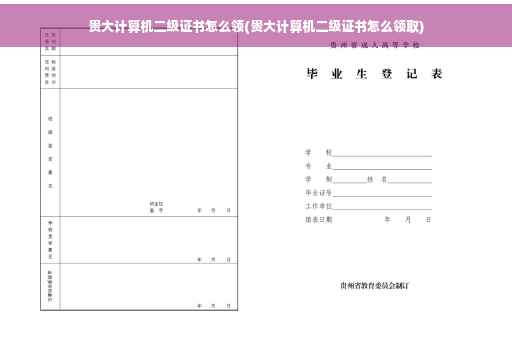 贵大计算机二级证书怎么领(贵大计算机二级证书怎么领取)