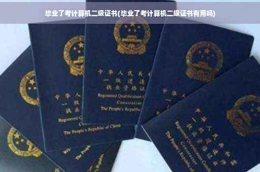 毕业了考计算机二级证书(毕业了考计算机二级证书有用吗)
