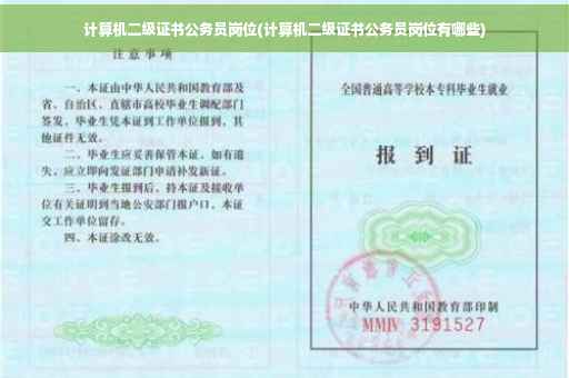 计算机二级证书公务员岗位(计算机二级证书公务员岗位有哪些)