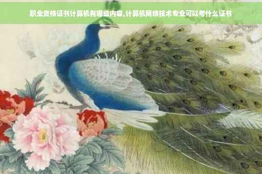 职业资格证书计算机有哪些内容,计算机网络技术专业可以考什么证书
