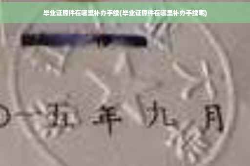 毕业证原件在哪里补办手续(毕业证原件在哪里补办手续呢)