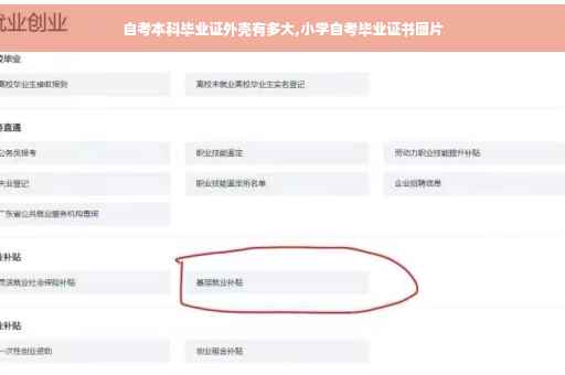 自考本科毕业证外壳有多大,小学自考毕业证书图片
