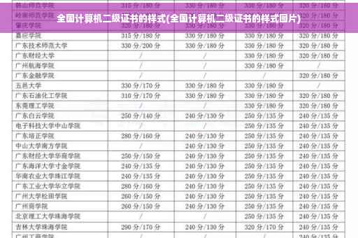 全国计算机二级证书的样式(全国计算机二级证书的样式图片)