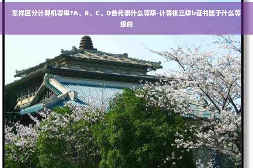 怎样区分计算机等级?A、B、C、D各代表什么等级-计算机三级b证书属于什么等级的