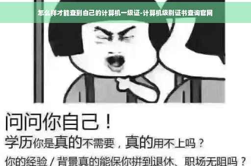 怎么样才能查到自己的计算机一级证-计算机级别证书查询官网
