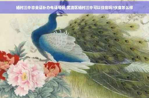 杨村三中毕业证补办电话号码,武清区杨村三中可以住宿吗?伙食怎么样