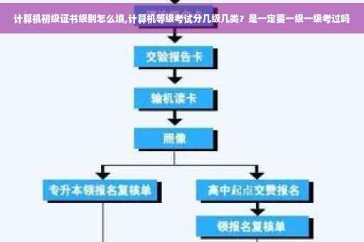 计算机初级证书级别怎么填,计算机等级考试分几级几类？是一定要一级一级考过吗