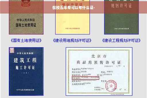 在校五年专可以考什么证-
