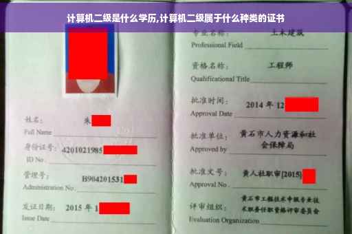 计算机二级是什么学历,计算机二级属于什么种类的证书