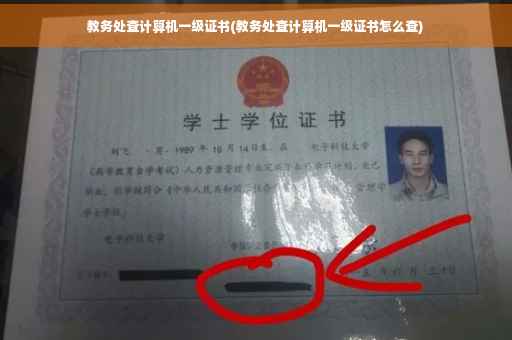 教务处查计算机一级证书(教务处查计算机一级证书怎么查)