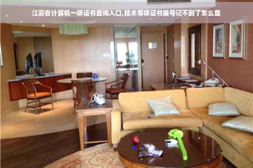 江苏省计算机一级证书查询入口,技术等级证书编号记不到了怎么查