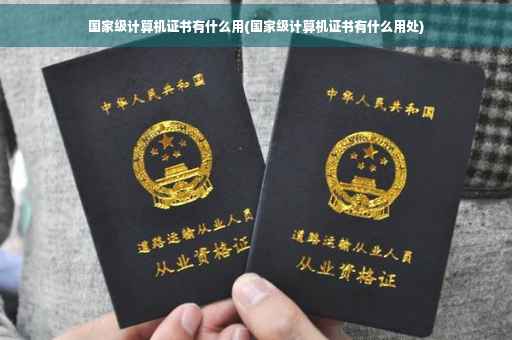 国家级计算机证书有什么用(国家级计算机证书有什么用处)