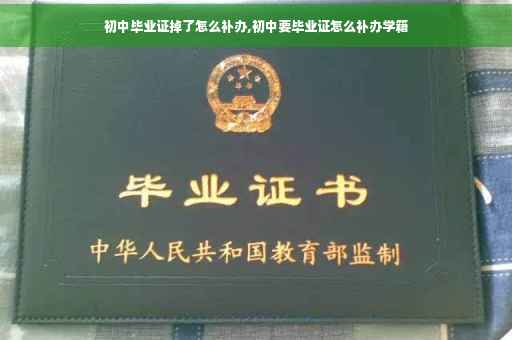 初中毕业证掉了怎么补办,初中要毕业证怎么补办学籍