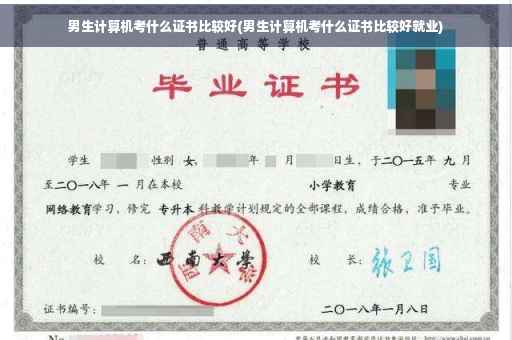 男生计算机考什么证书比较好(男生计算机考什么证书比较好就业)
