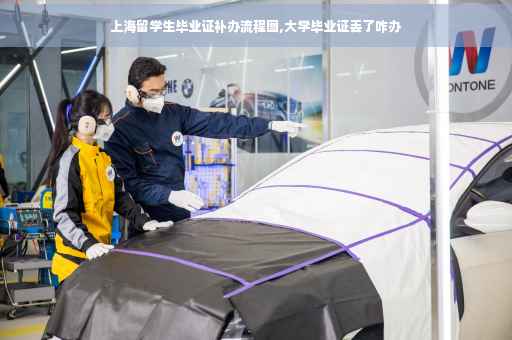 上海留学生毕业证补办流程图,大学毕业证丢了咋办