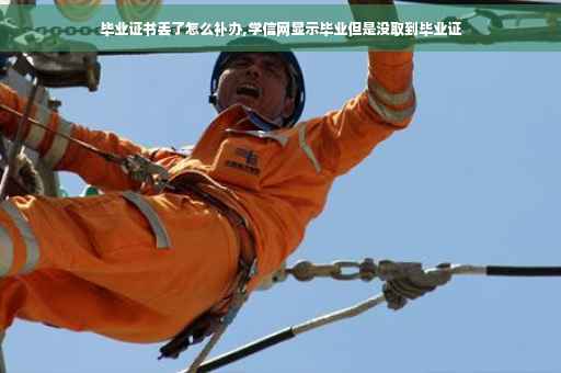 毕业证书丢了怎么补办,学信网显示毕业但是没取到毕业证