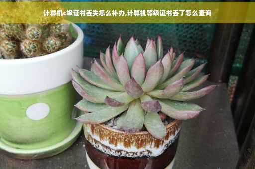 计算机c级证书丢失怎么补办,计算机等级证书丢了怎么查询