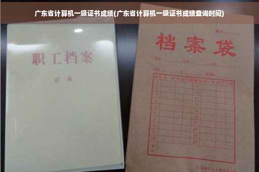 广东省计算机一级证书成绩(广东省计算机一级证书成绩查询时间)