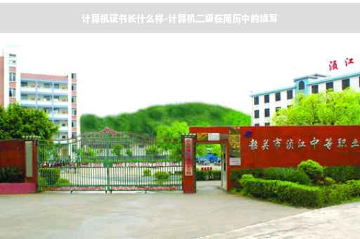 计算机证书长什么样-计算机二级在简历中的填写