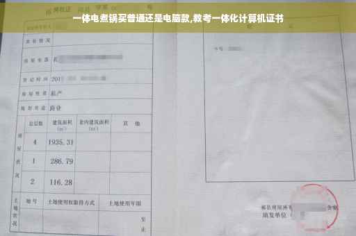 一体电煮锅买普通还是电脑款,教考一体化计算机证书