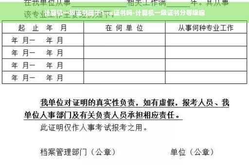 计算机一级证书属于1+x证书吗-计算机一级证书分等级嘛