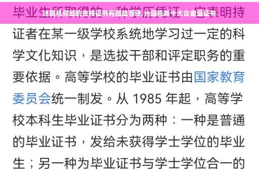计算机领域的资格证书有哪些等级,计算机类十大含金量证书