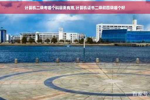 计算机二级考哪个科目更有用,计算机证书二级和四级哪个好