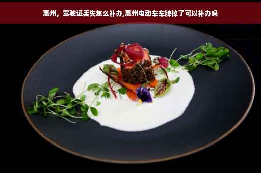 惠州，驾驶证丢失怎么补办,惠州电动车车牌掉了可以补办吗