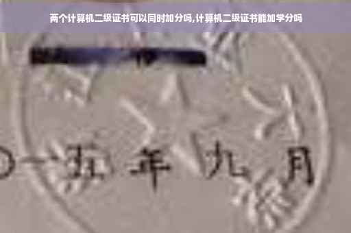 两个计算机二级证书可以同时加分吗,计算机二级证书能加学分吗