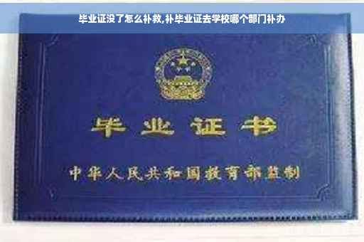 毕业证没了怎么补救,补毕业证去学校哪个部门补办