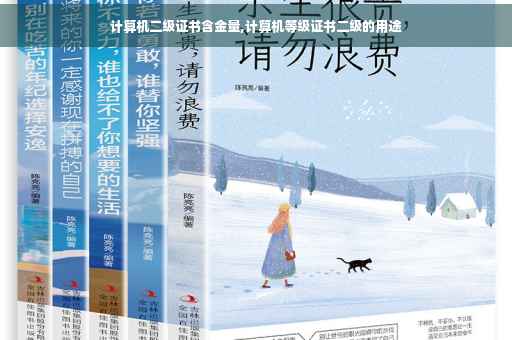 计算机二级证书含金量,计算机等级证书二级的用途
