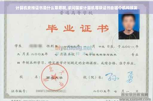 计算机资格证书是什么意思啊,求问国家计算机等级证书由哪个机构颁发