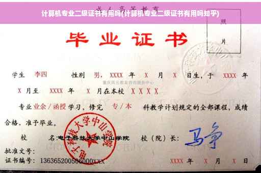 计算机专业二级证书有用吗(计算机专业二级证书有用吗知乎)