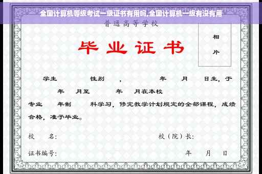 全国计算机等级考试一级证书有用吗,全国计算机一级有没有用