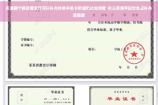 天津那个移动营业厅可以补办外地手机卡的请把地址给我-青岛滨海学院毕业证补办流程图