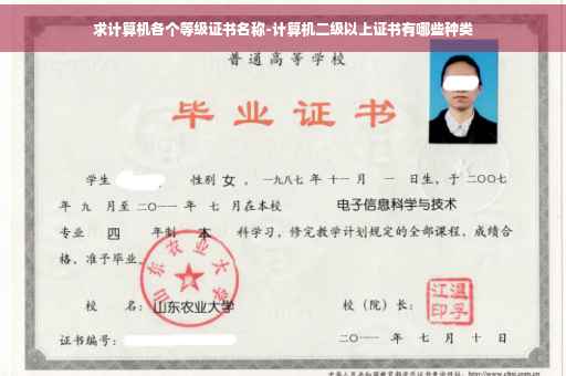 求计算机各个等级证书名称-计算机二级以上证书有哪些种类