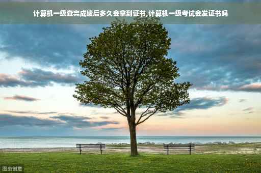 计算机一级查完成绩后多久会拿到证书,计算机一级考试会发证书吗