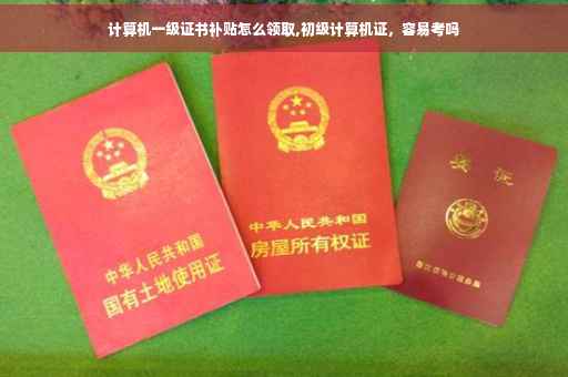 计算机一级证书补贴怎么领取,初级计算机证，容易考吗