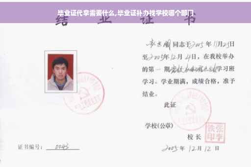 毕业证代拿需要什么,毕业证补办找学校哪个部门