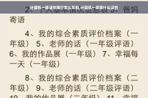 计算机一级证书简介怎么写的,计算机一级是什么证书