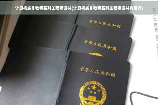 计算机类非教师系列工程师证书(计算机类非教师系列工程师证书有用吗)