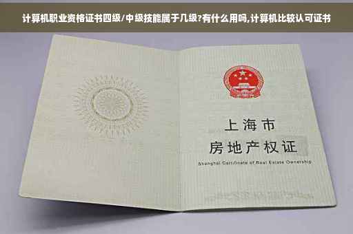 计算机职业资格证书四级/中级技能属于几级?有什么用吗,计算机比较认可证书