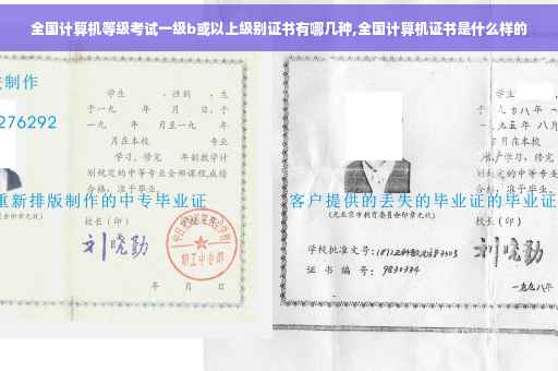 全国计算机等级考试一级b或以上级别证书有哪几种,全国计算机证书是什么样的